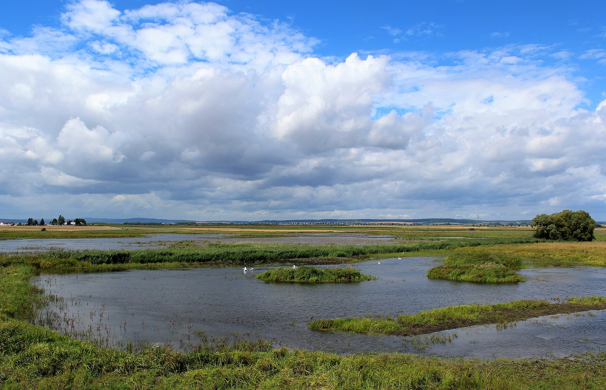 Frankfurt Oder für Naturliebhaber