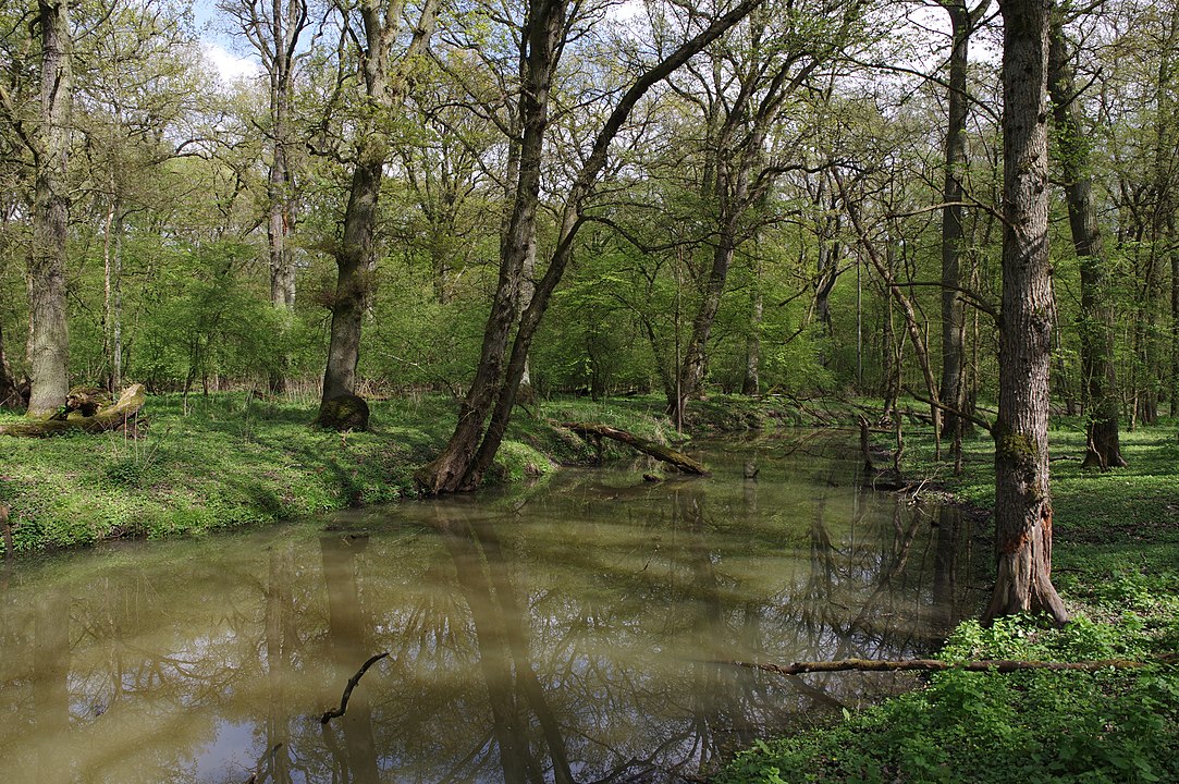 Liste der Naturschutzgebiete in der Stadt Frankfurt (Oder)